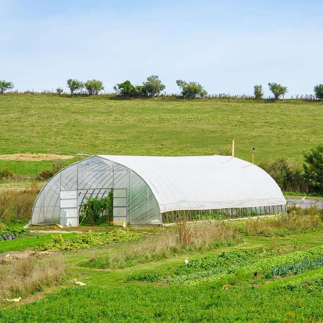 A greenhouse for growing vegetables surrounded by rows of organic vegetables planted in a lush green field