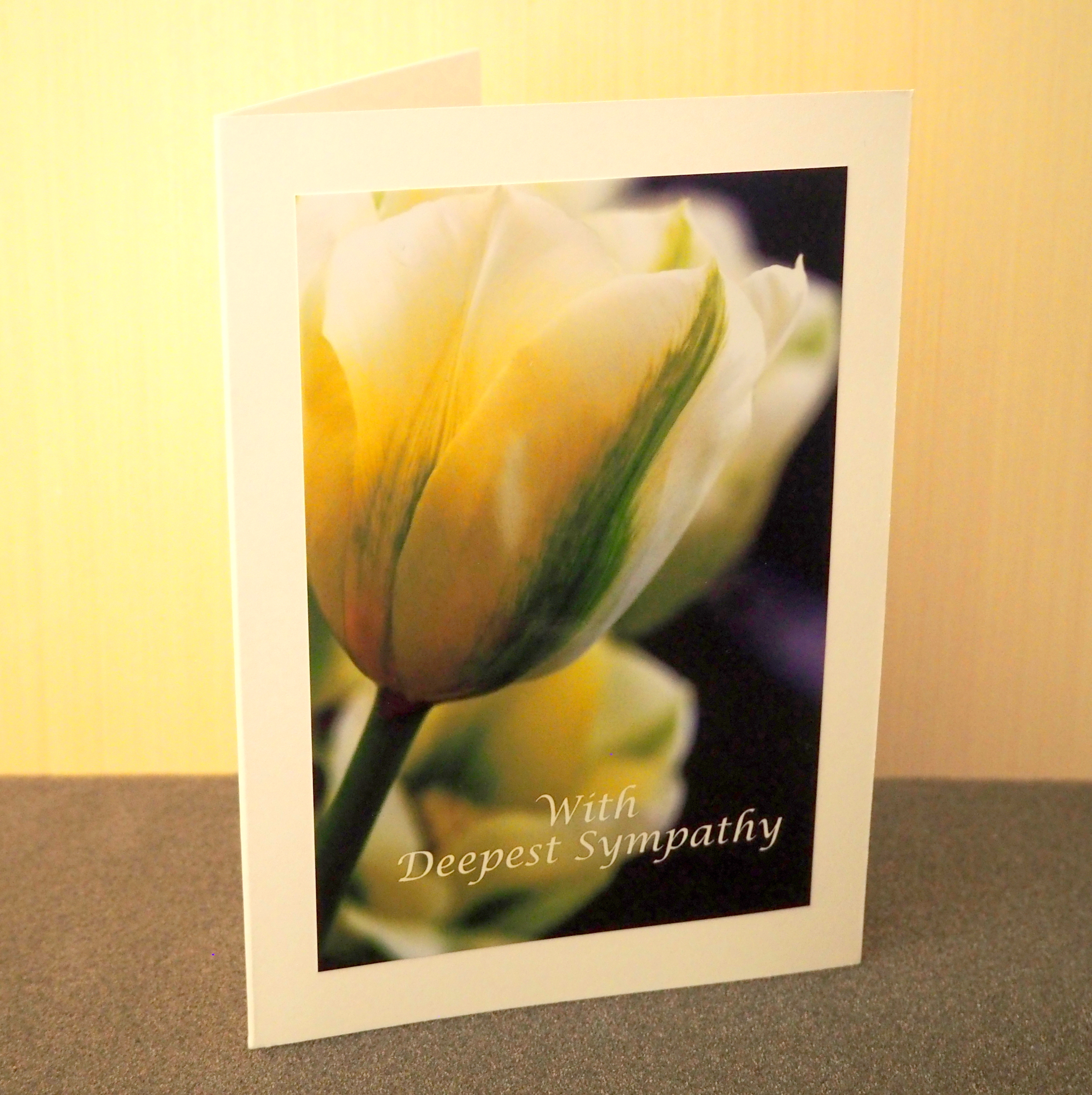 Expressions of Sympathy Card Collection