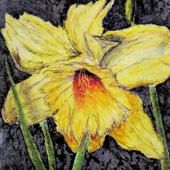 A flower portrait of one daffodil