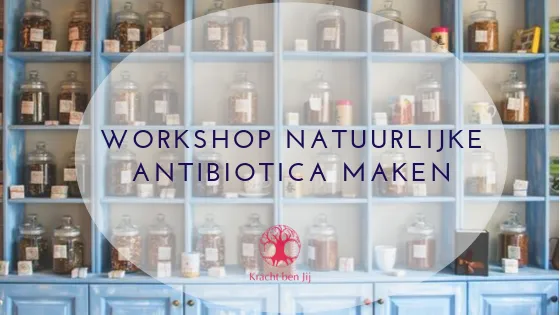 Workshop, maak zelf een natuurlijk antibiotisch drankje. Ruurlo.