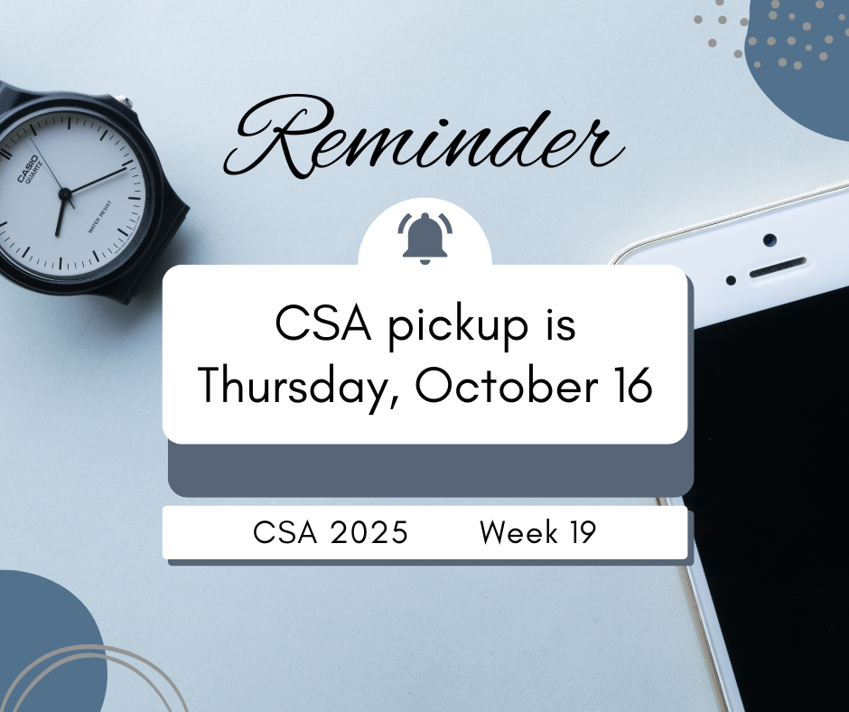 2025 CSA Week 19
