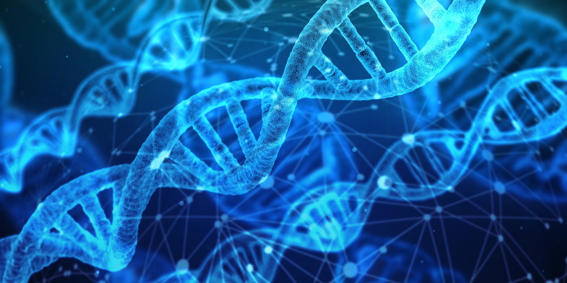 La naturaleza como modelo: Darwin, genetica e Inteligencia Artificial