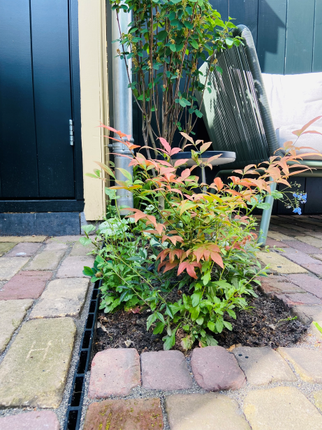 Hoosbuien zijn geen probleem met deze drain. Het water blijft in de tuin en is voor de planten.