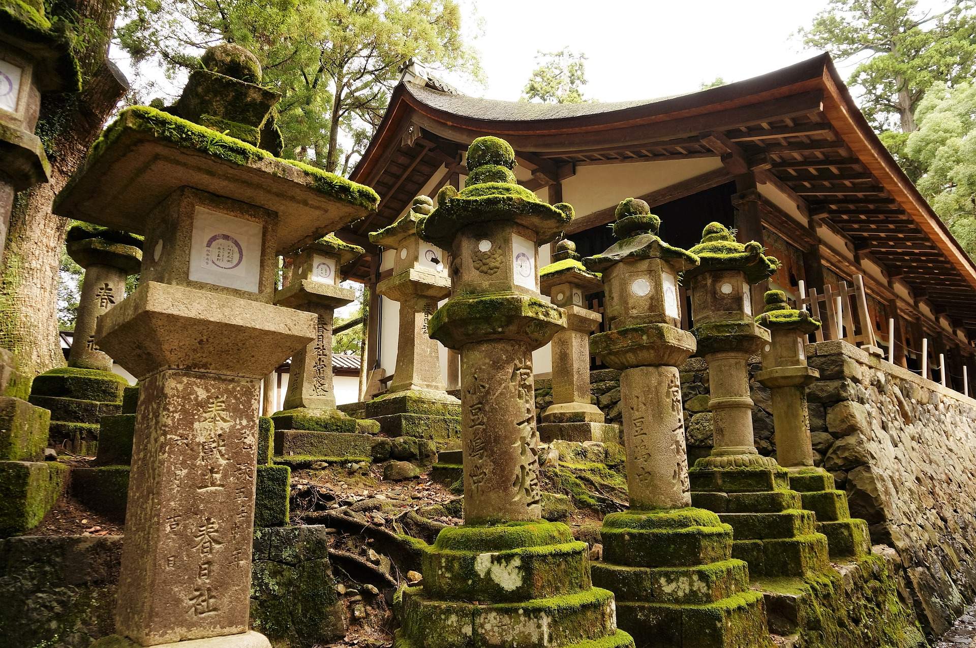 Nikko, Weltkulturerbe Japan,  Nara, Unesco Japan, Toshugo Shrine, Nikko Japan, Mount Fuji, Kobe, Nara, Osaka, Expo 2025 Osaka