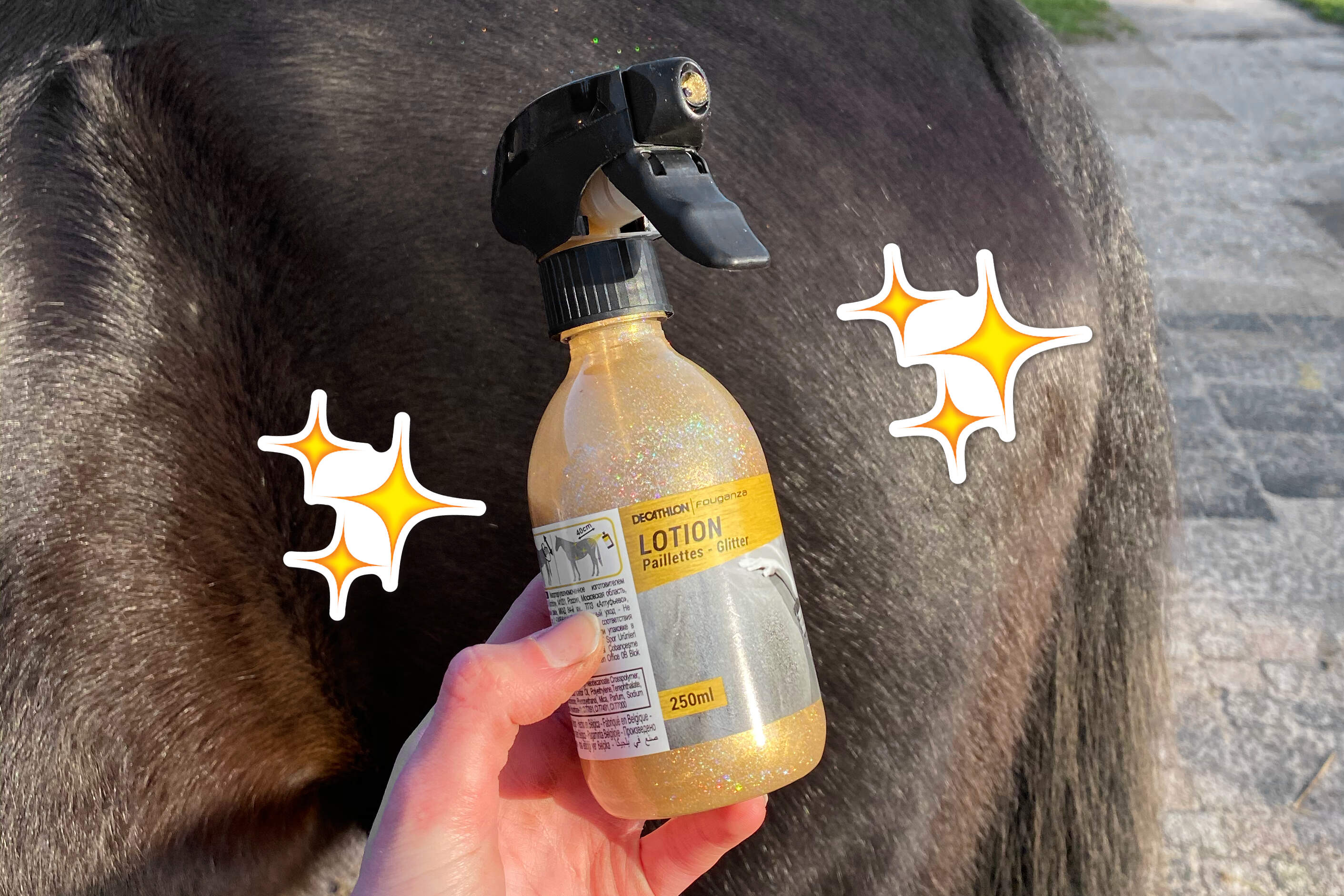 Glitterspray voor paarden testen!