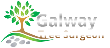 Galway Tree Surgeon 