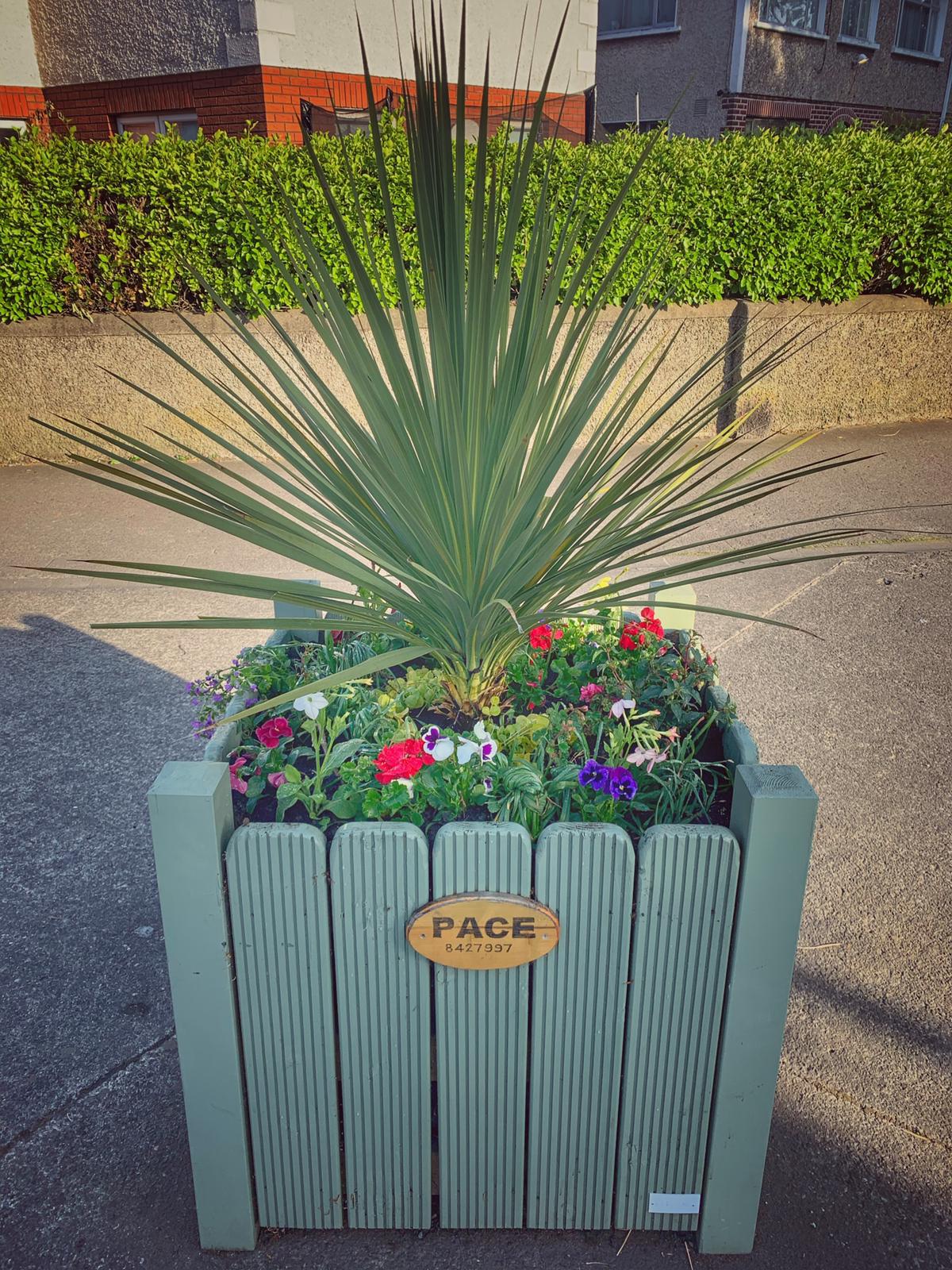 Planters - a little bit of colour to brighten your day