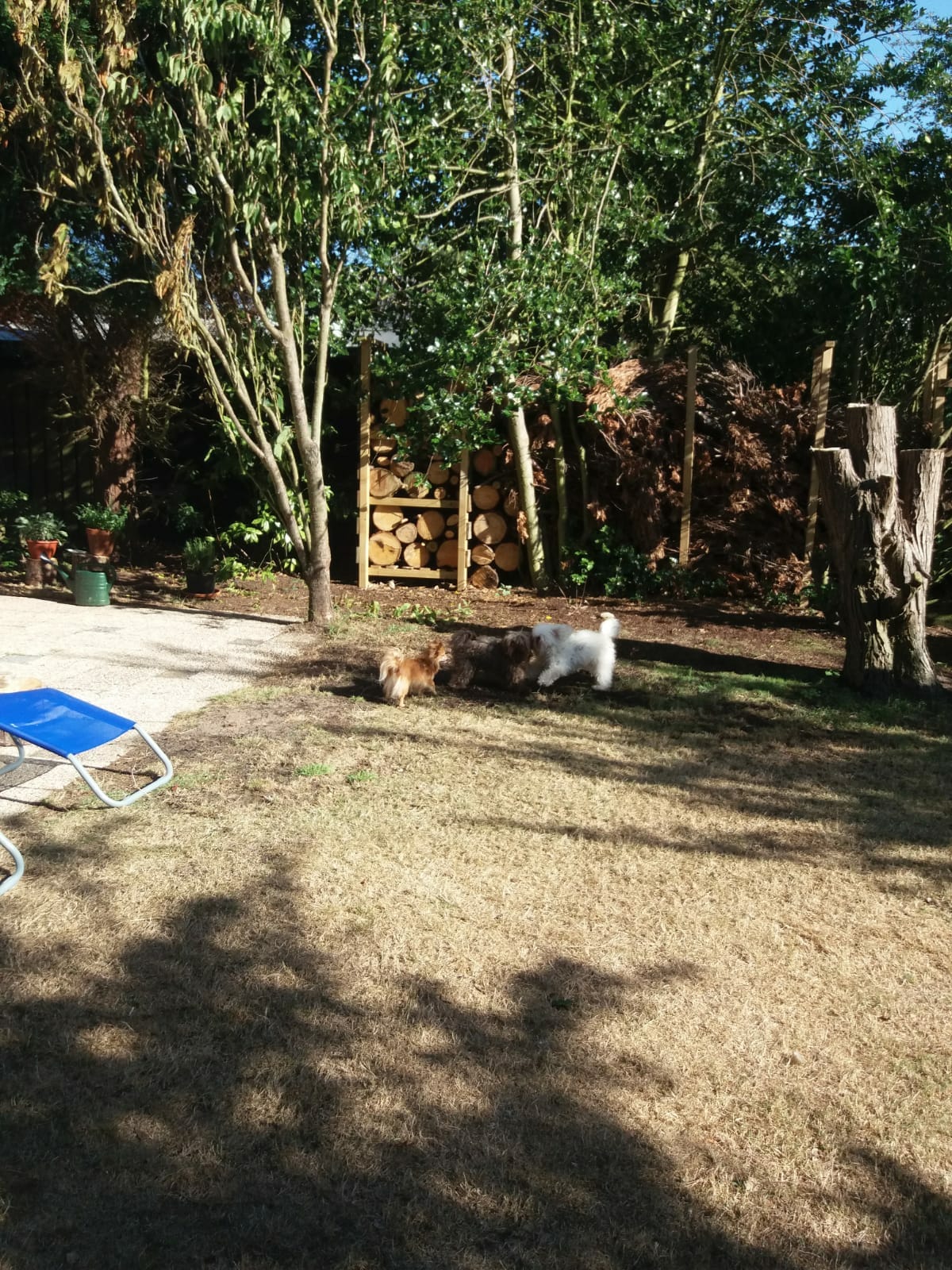 Afscheiding tuin. Honden zijn toegestaan.