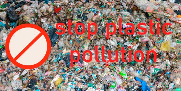 Plastic pollution, safety of biodegradable plastics.
