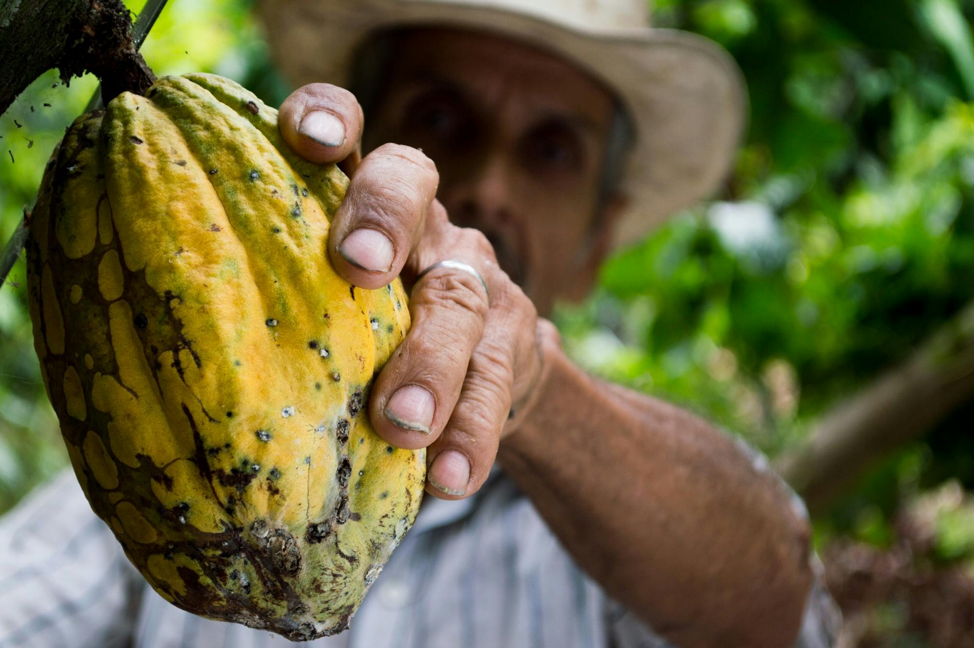 Cacao ceremonie bij Meefs in de Achterhoek