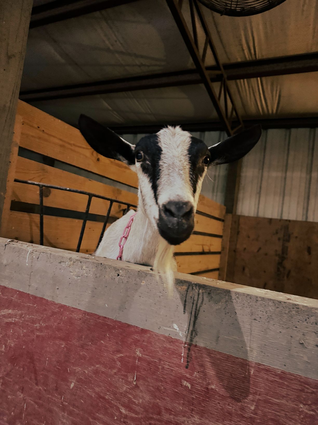 Home Page [j-cross-s-farms.website.localline.ca]