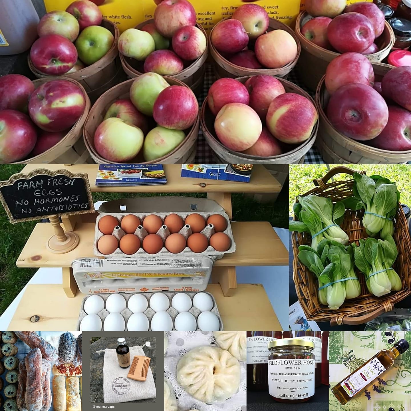 A framework for farmers' markets in Ottawa