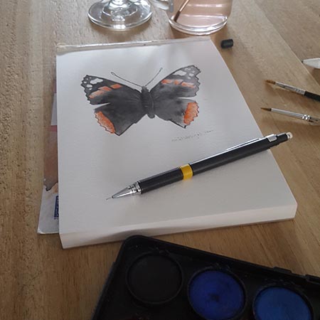Atalanta vlinder aquarel origineel procesjpg