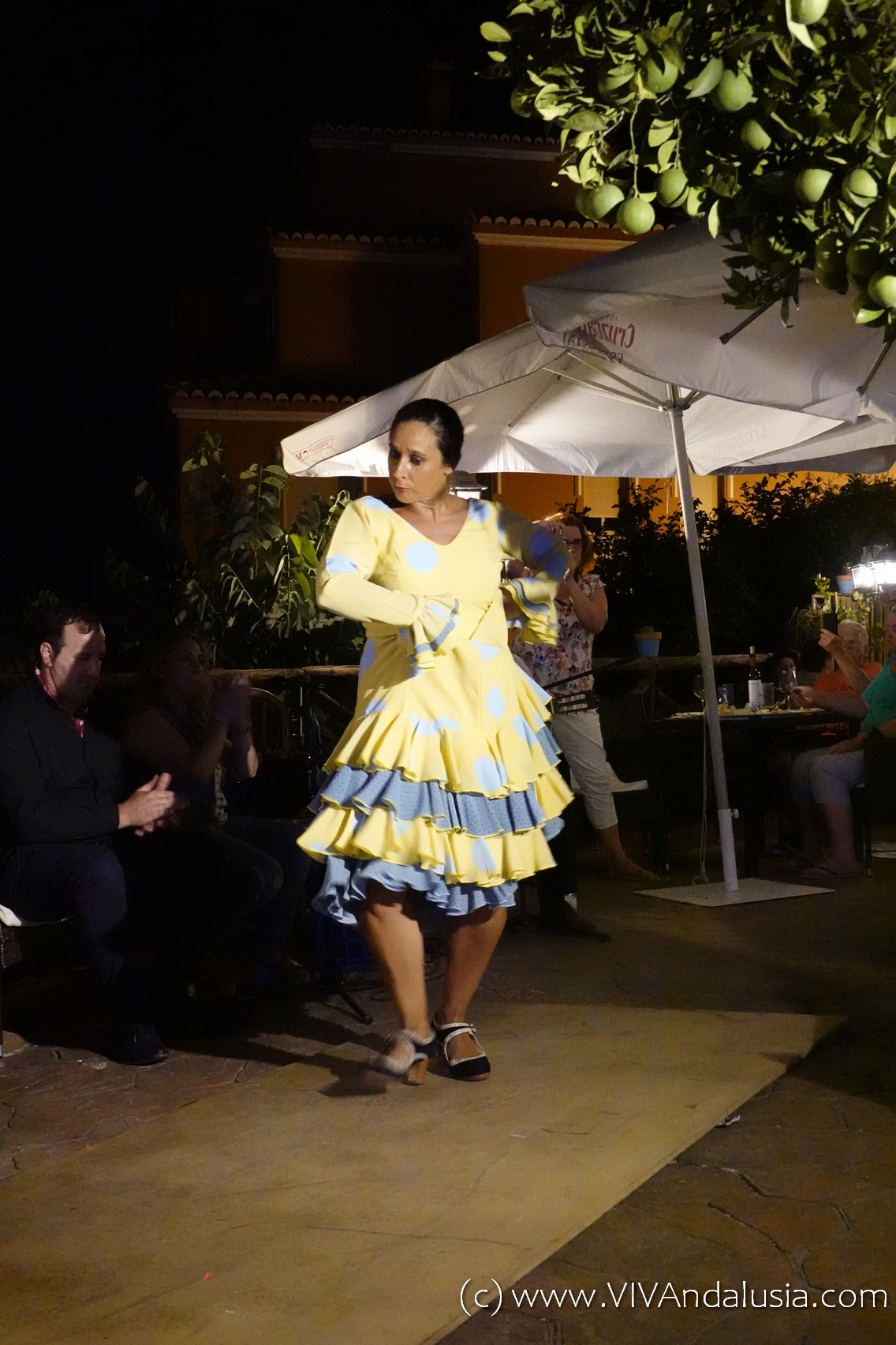 De Passionele Kunst van Flamenco Ontdekken in Andalusië