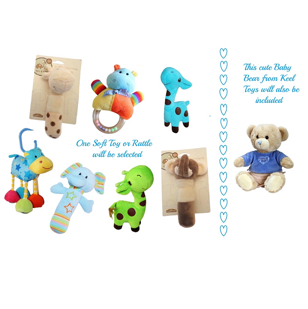Luxury Baby Gift Basket for a Boy
