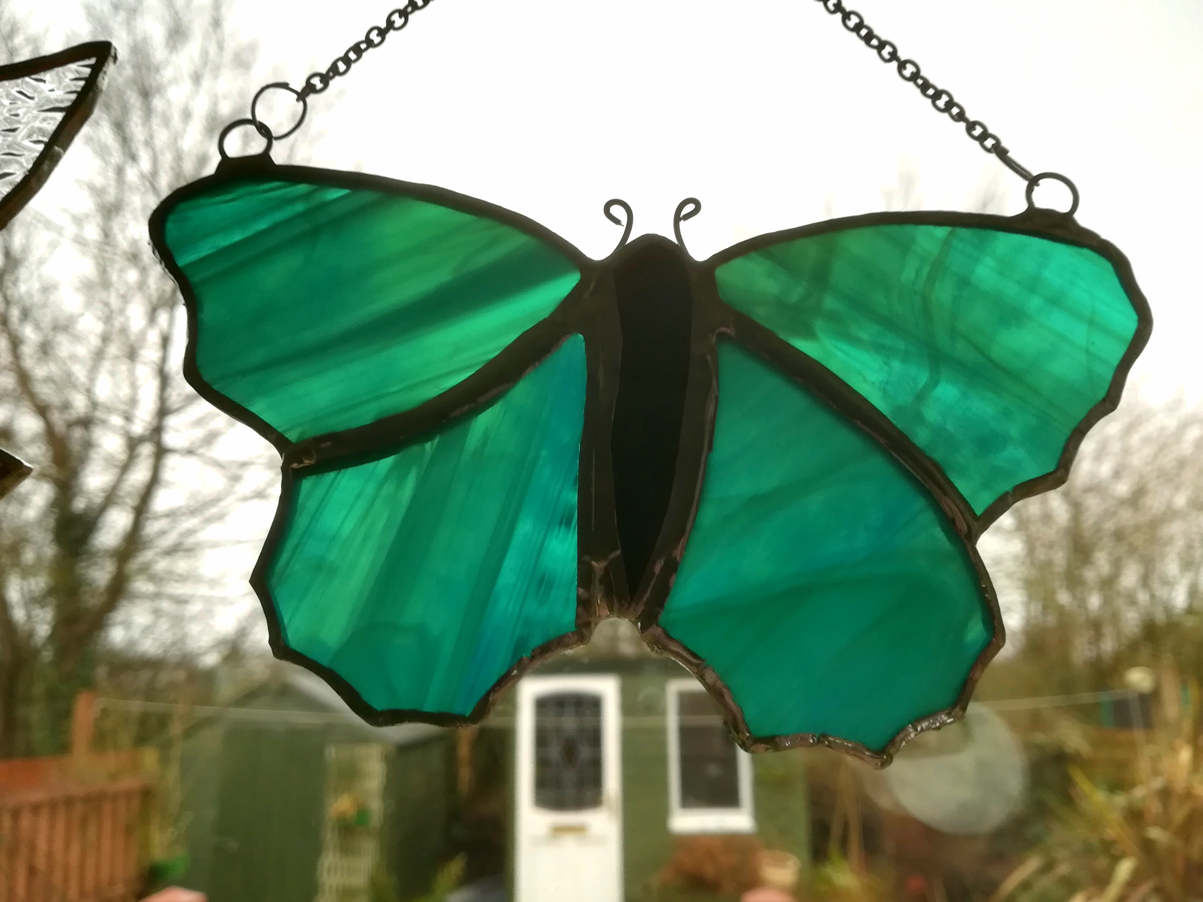 Small Butterfly