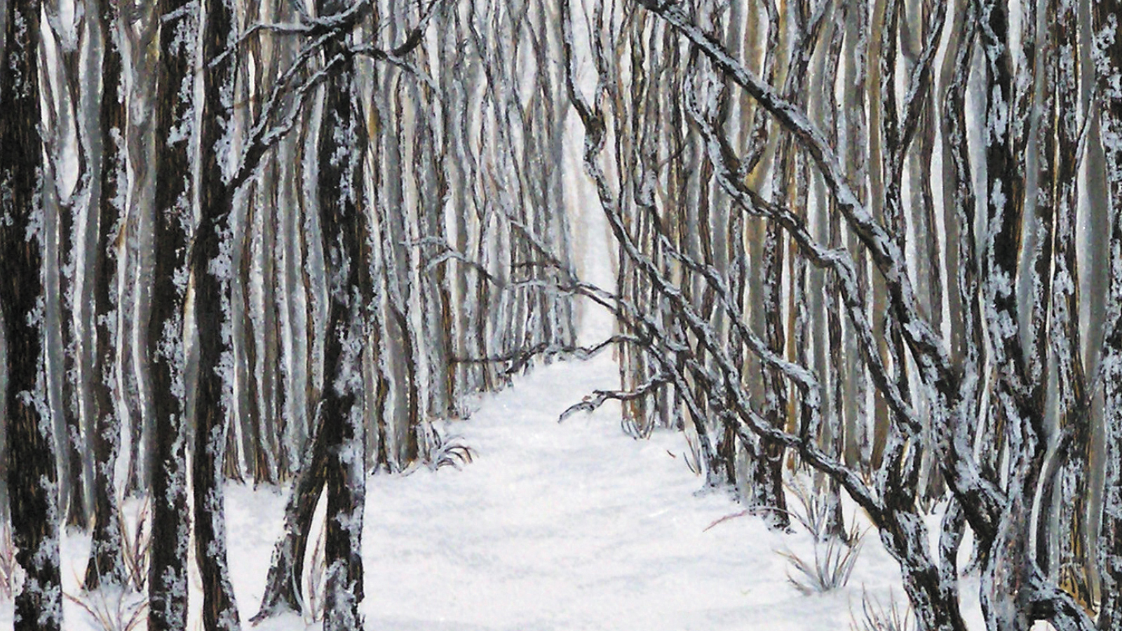 Avenue Of Trees by Sharon Devlin