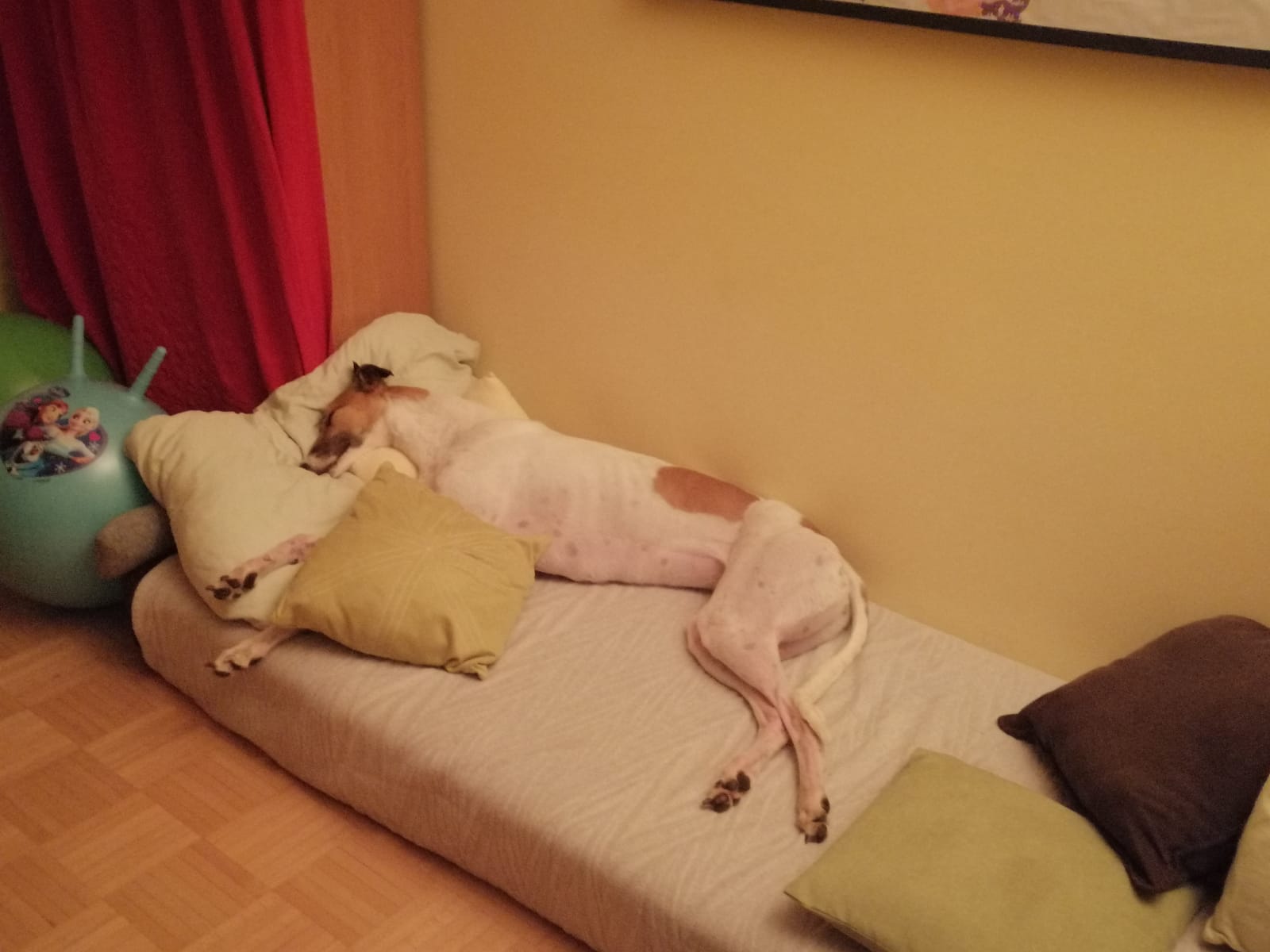 image0jpeg