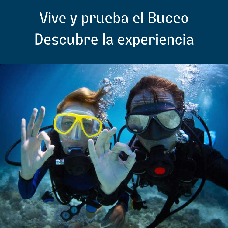Discover Scuba - Descubre el Buceo