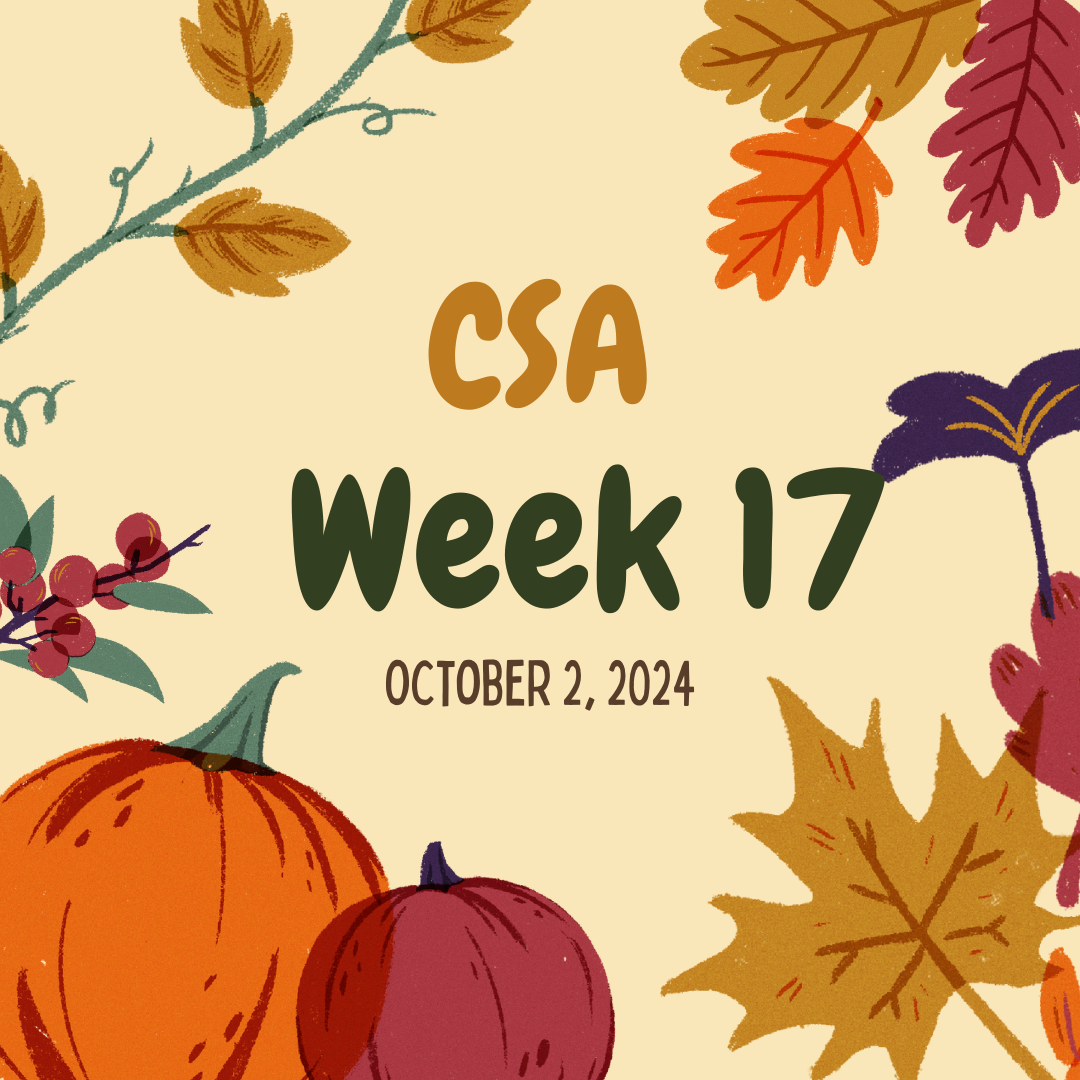 2024 CSA Week 17