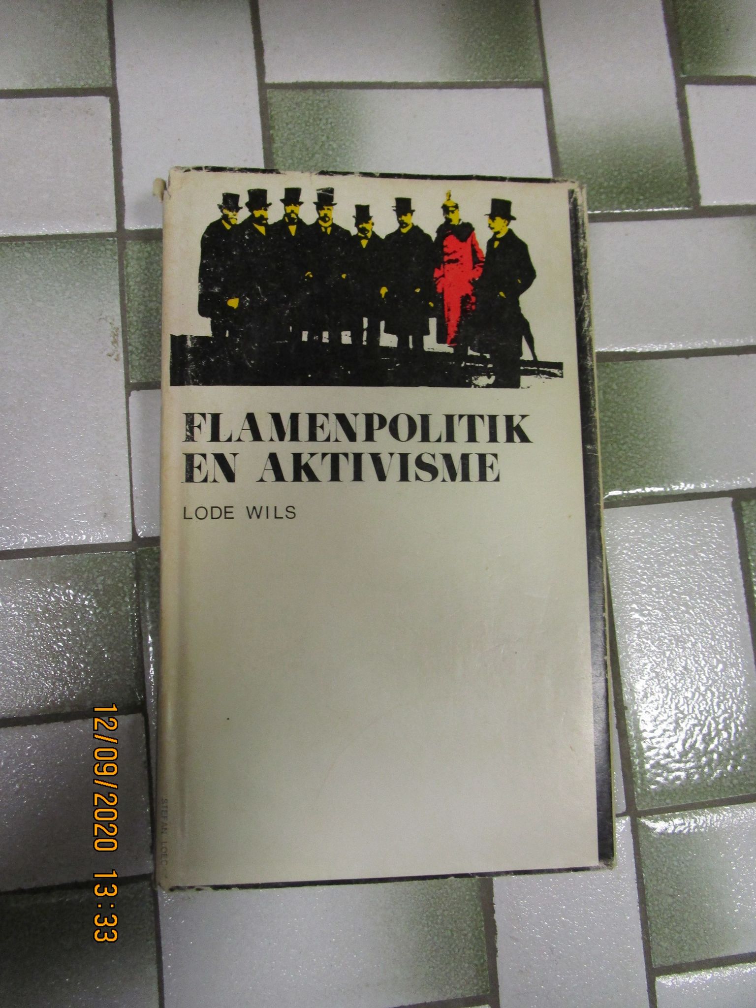Flamenpolitik en activisme / Lode Wils