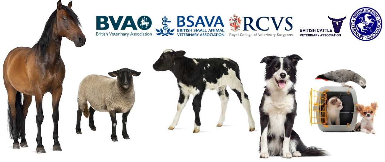 The Stewartry Veterinary Centre Castle Douglas offers a full range of veterinary services including pet care and farm vet services
