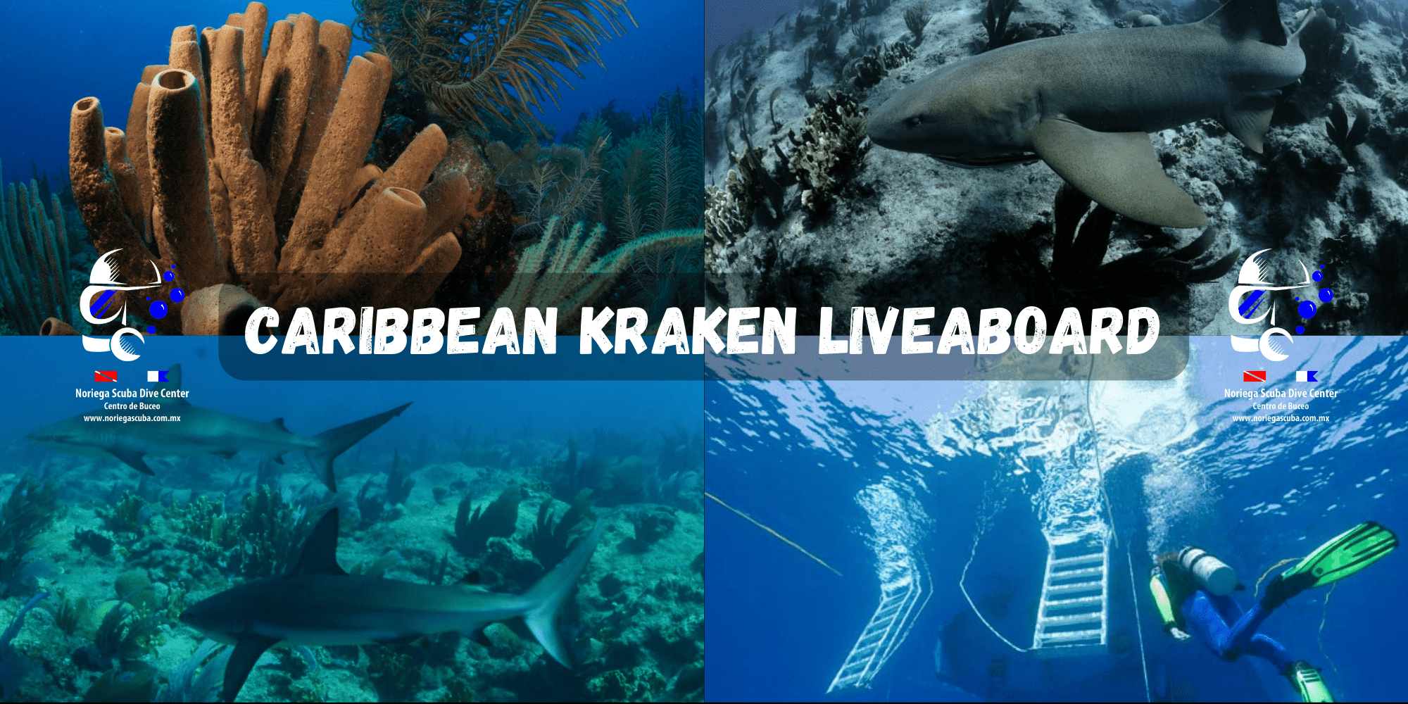 Buceo en Alacranes abordo del Caribbean Kraken
