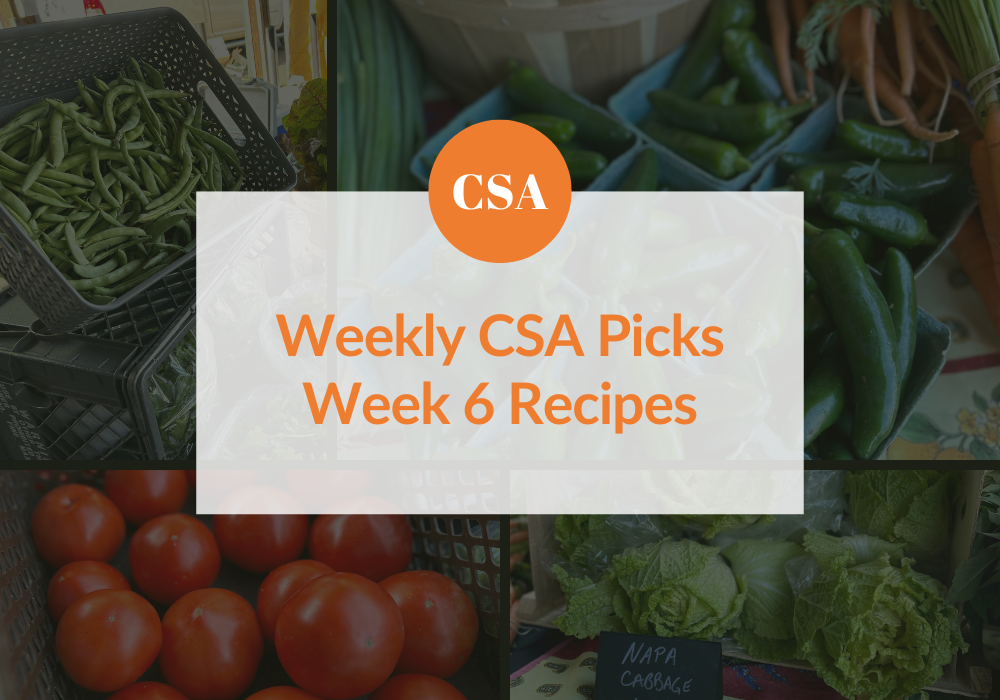 CSA Fresh Picks | Week 6 Recipes
