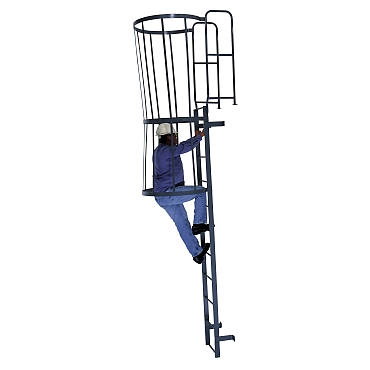 Ladder | Material Handling - (New & Used) in Orlando, Florida